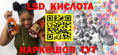 крисы Кунгур