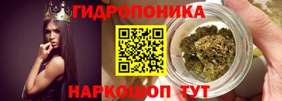 крисы Кунгур
