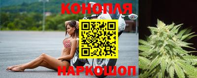 молекула духа Кулебаки