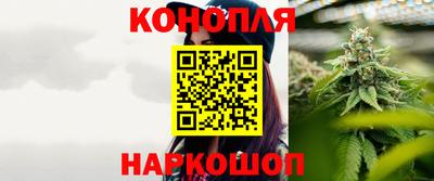 крисы Кунгур