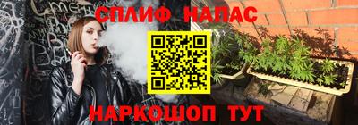 крисы Кунгур